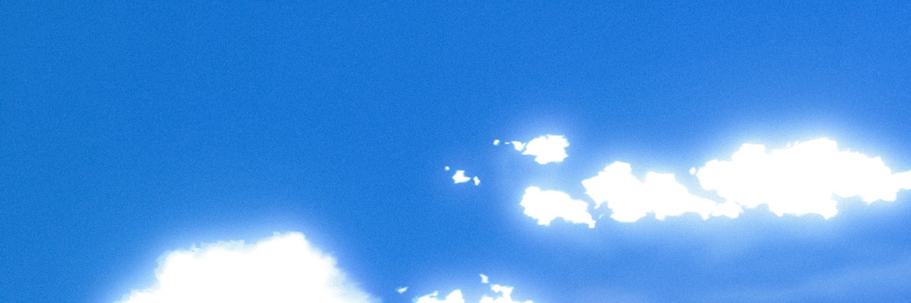 ⌕ | 𝙻𝚎𝚢𝚗