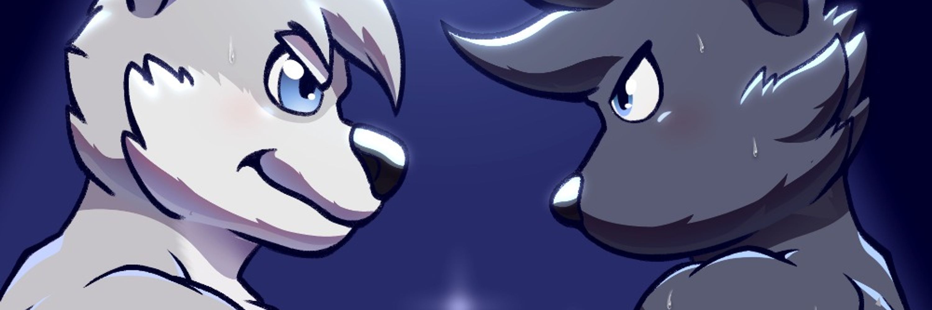 Profile banner