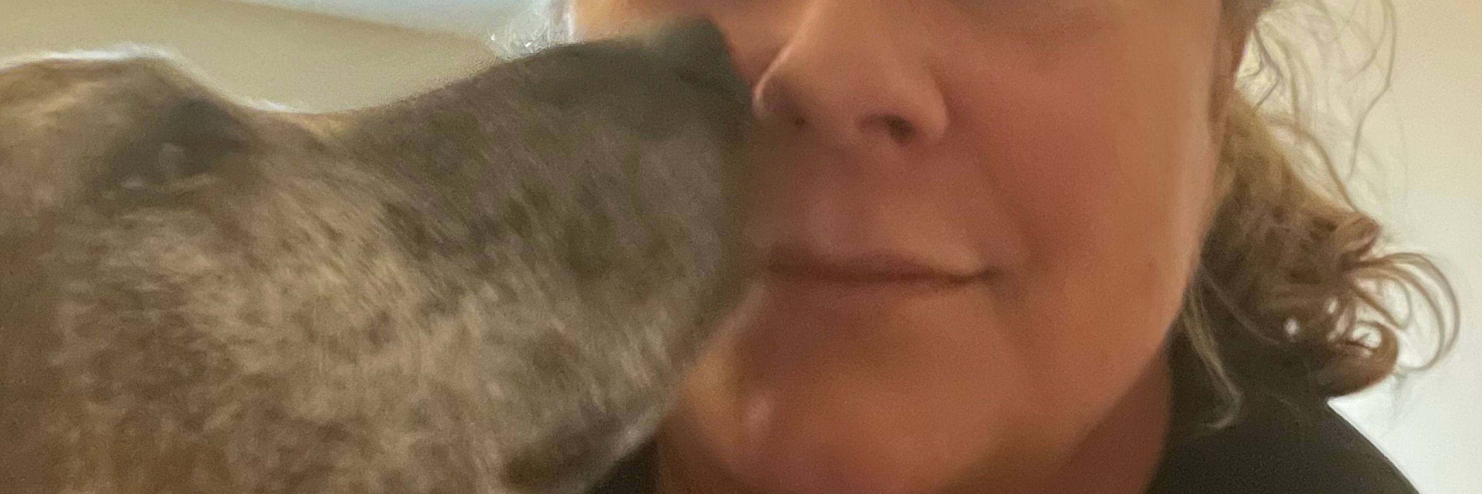 Buddy’s Mom 🇨🇦 🇺🇦