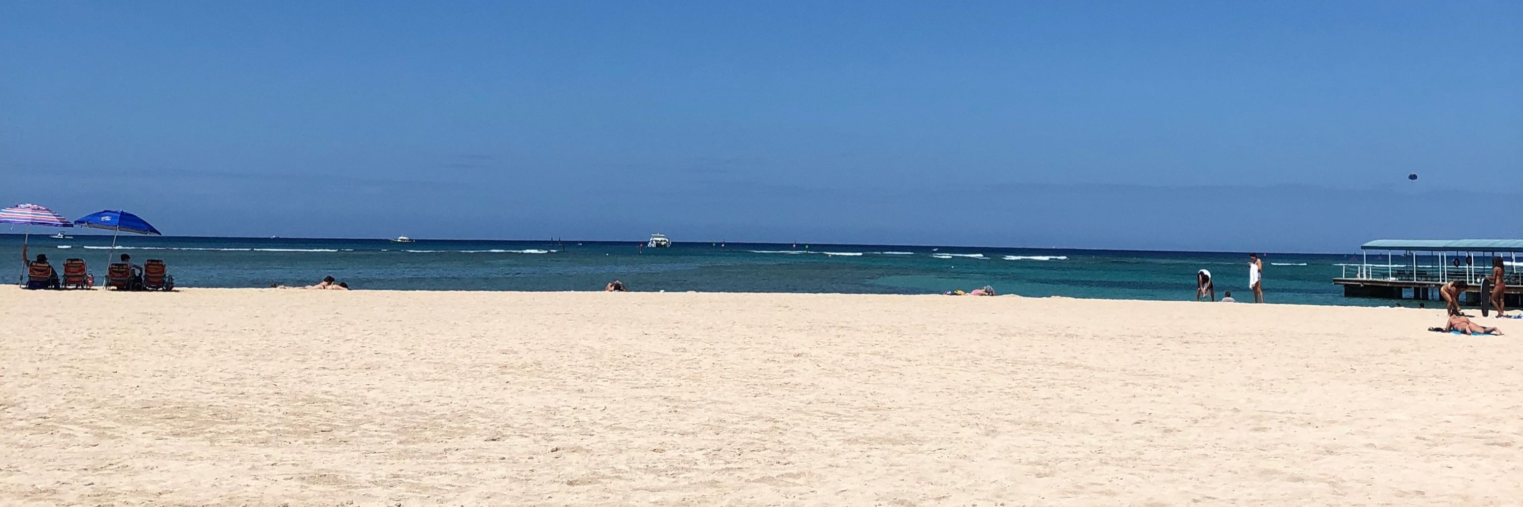 とこなつ🏝️
