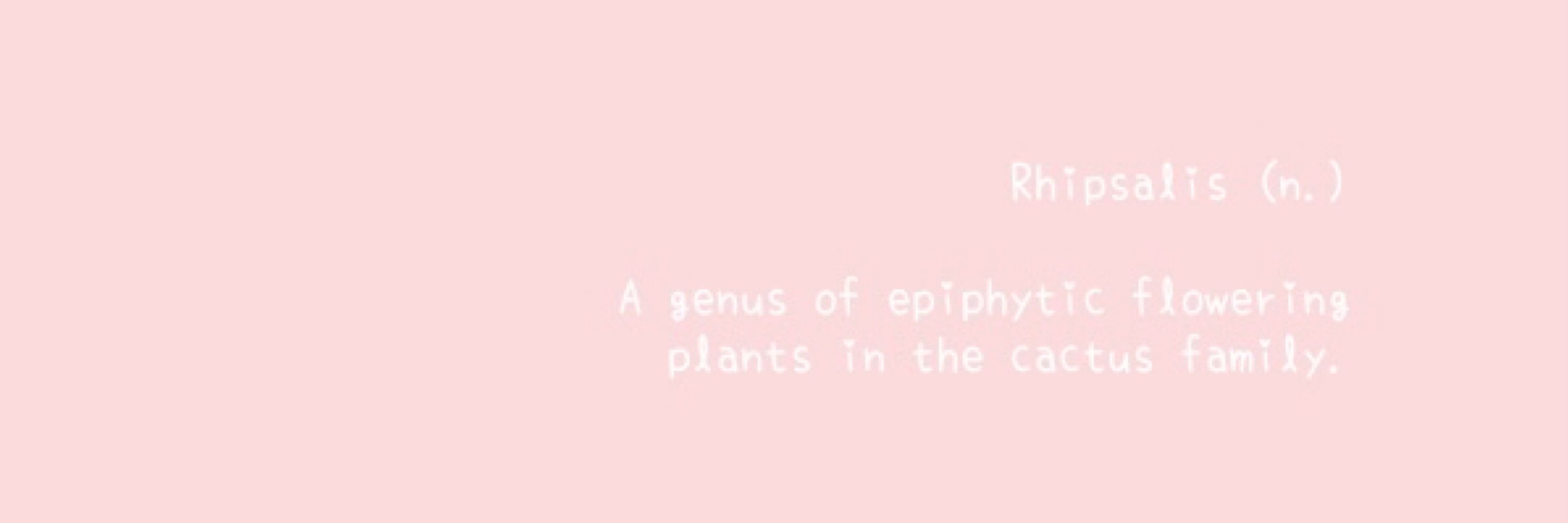 Rhipsalisz