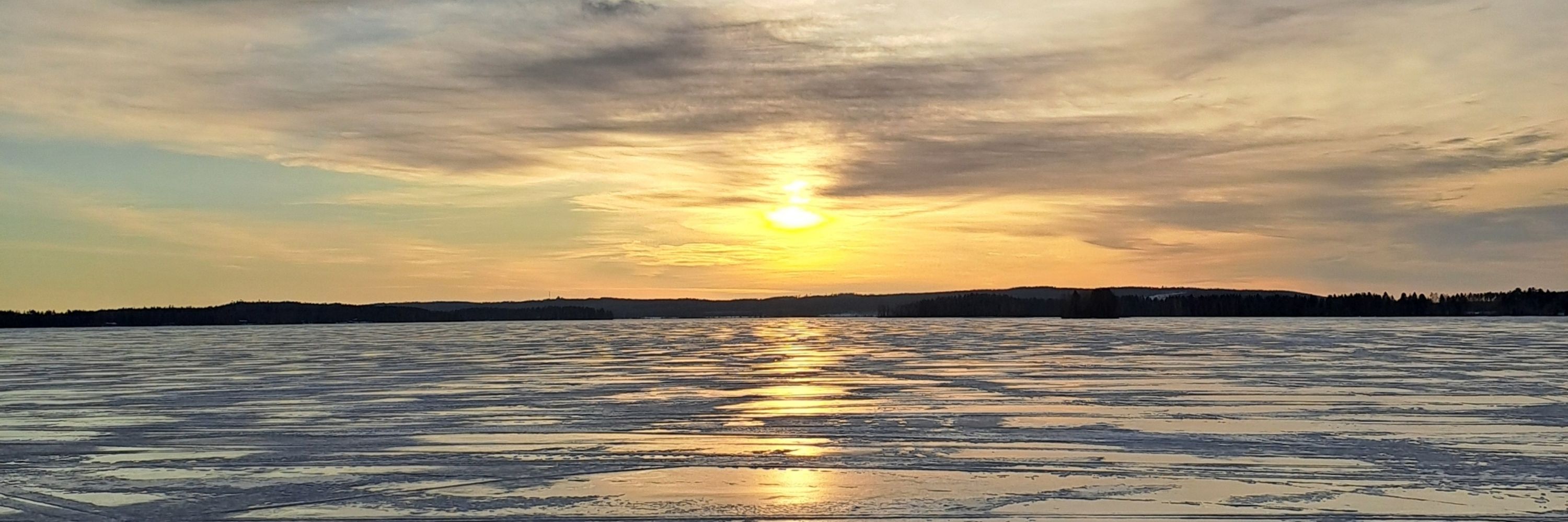 Meeri Havumäki⭐️