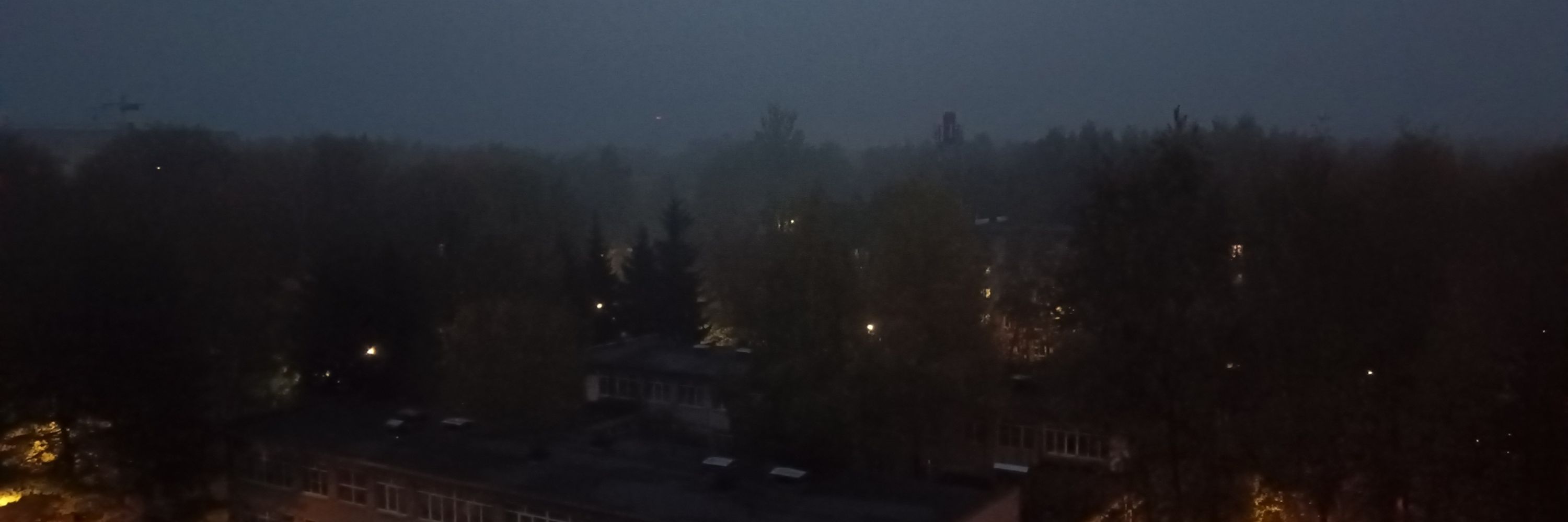 Алиса Крысова