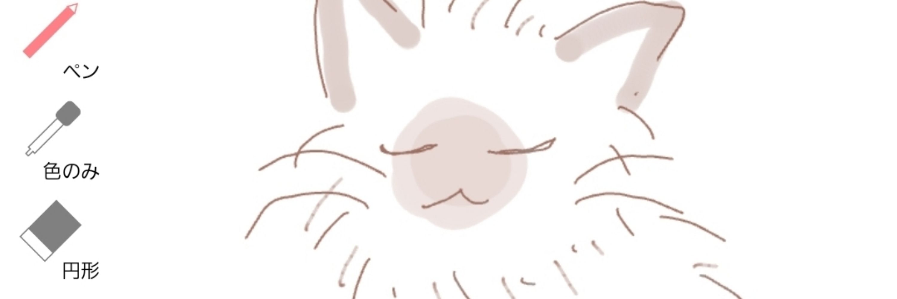 こうきゅうなたぬき