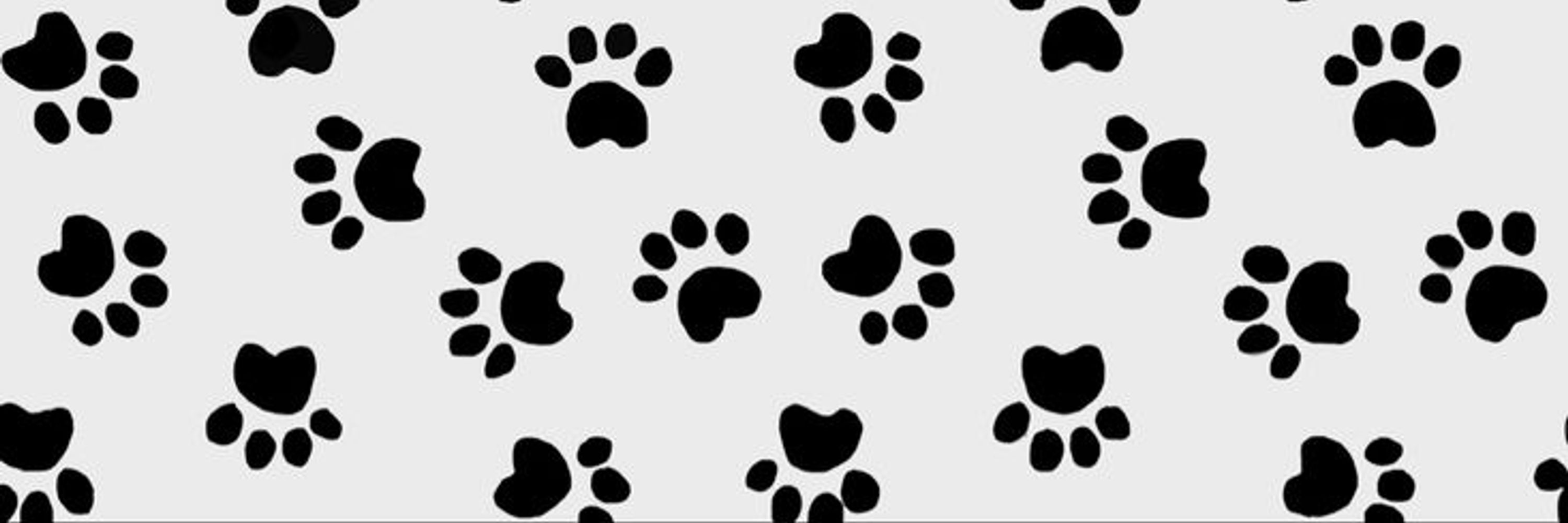 THE woof