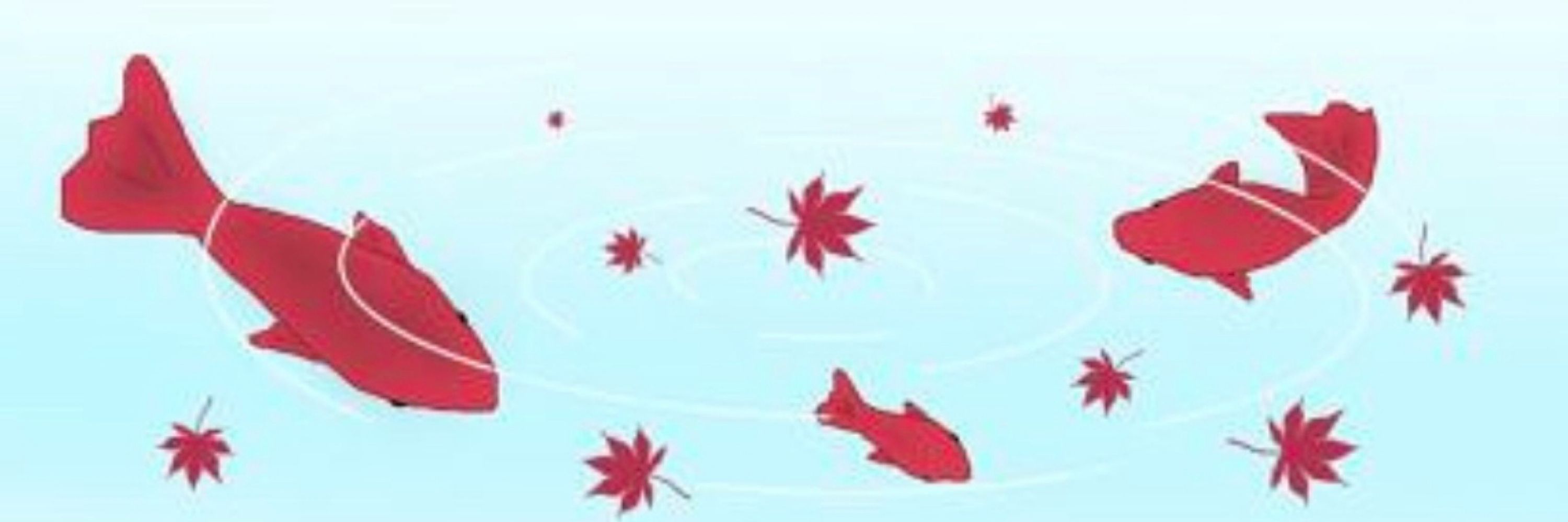しえろ🐈Cielo