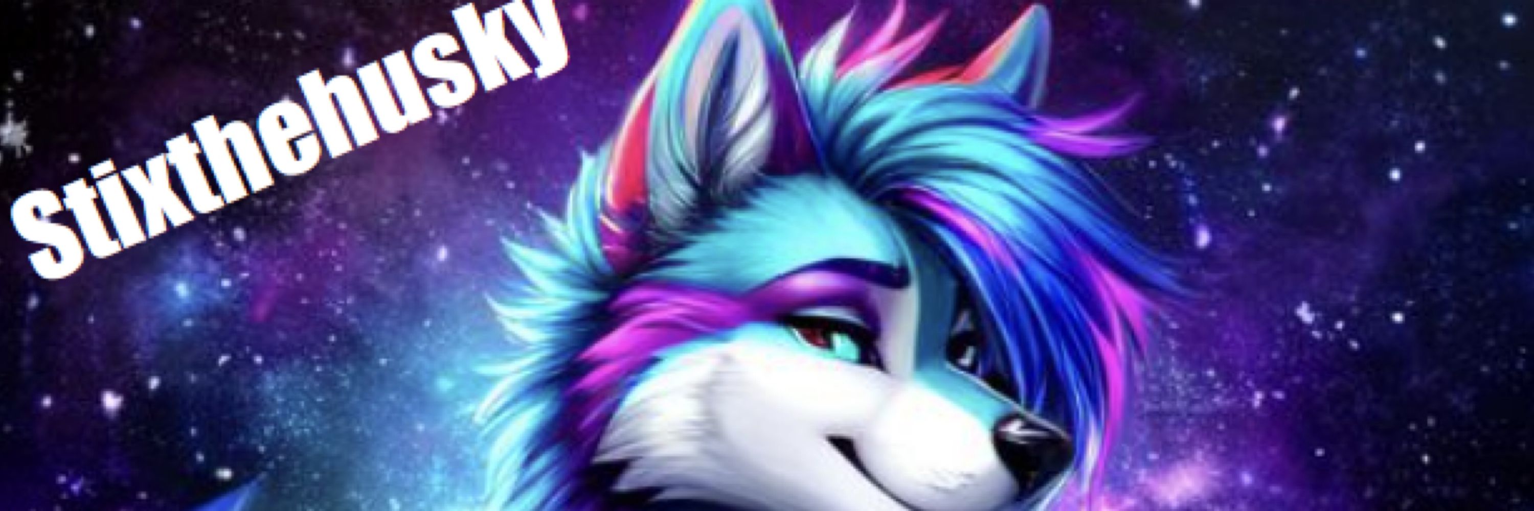 Stixthehusky 
