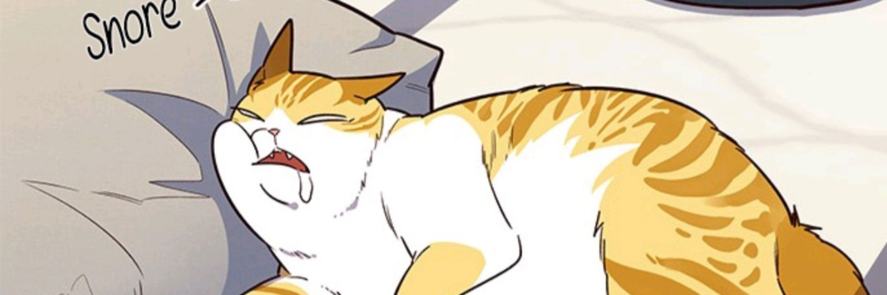PitaDᓚᘏᗢ