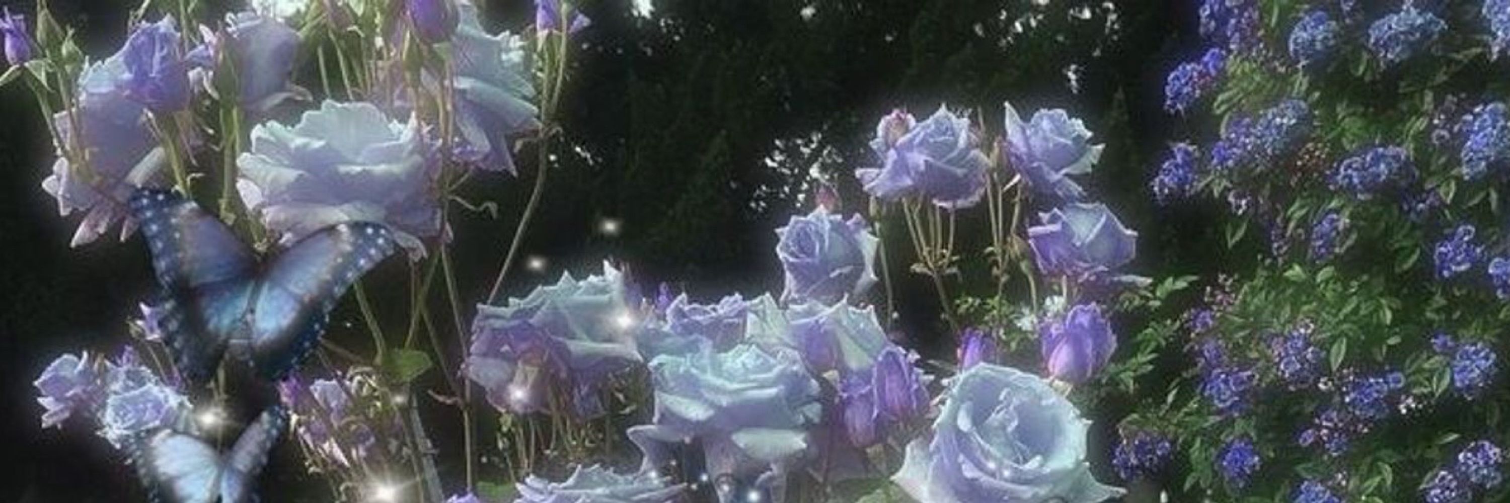 𝐄𝐥𝐥𝐢𝐞 ౨ৎ˚⟡˖ ࣪