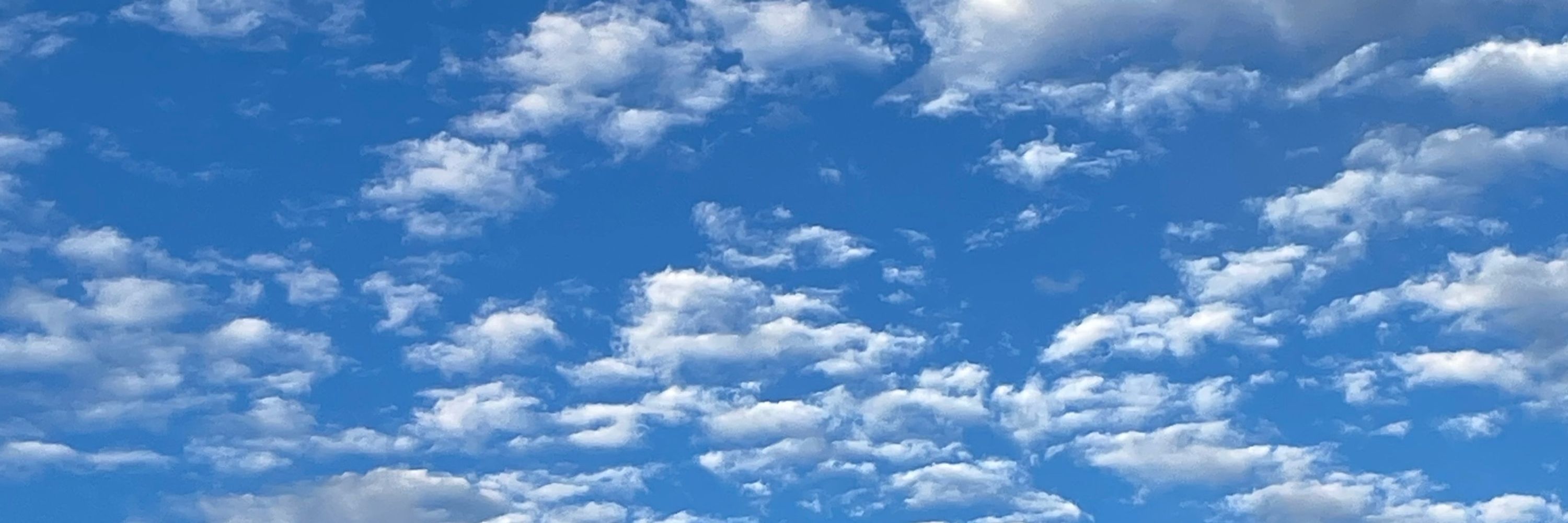 💙葉月💙