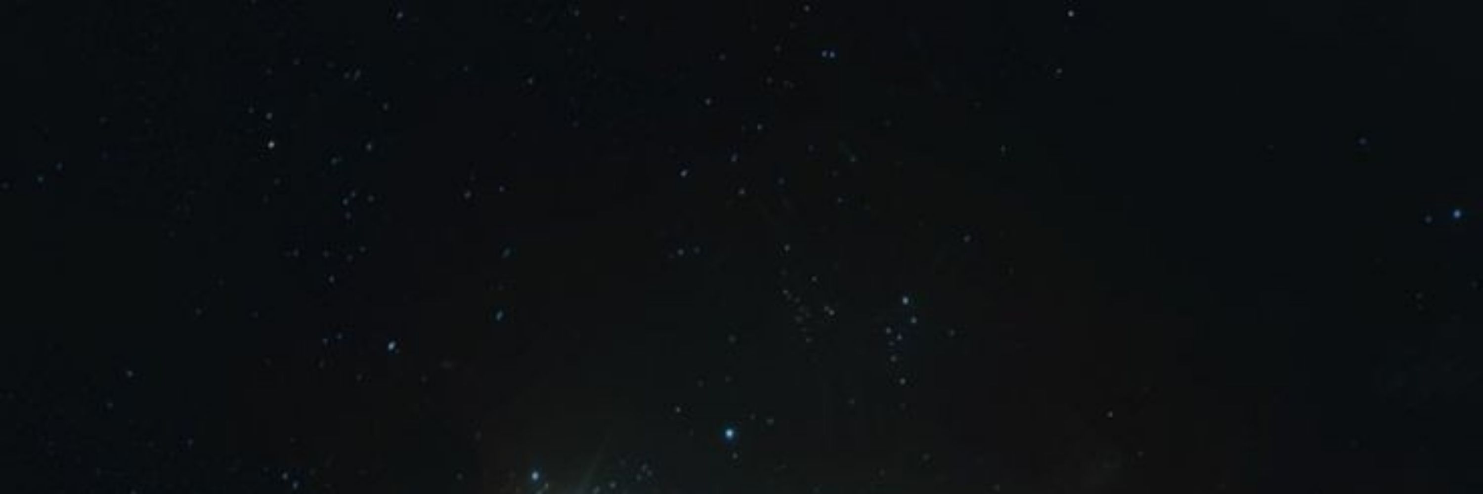 𓆞 .ზ