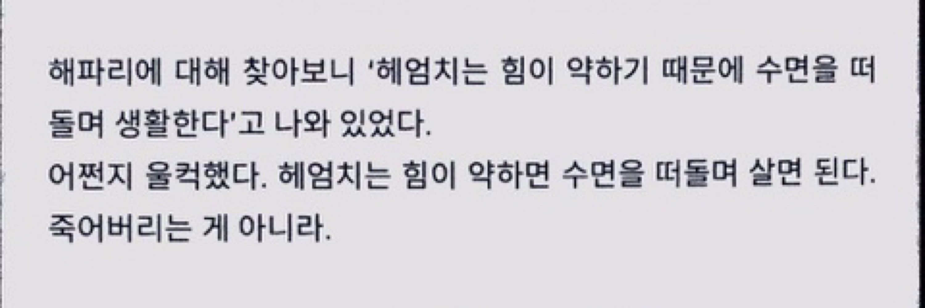 🎄사이버체리🎄