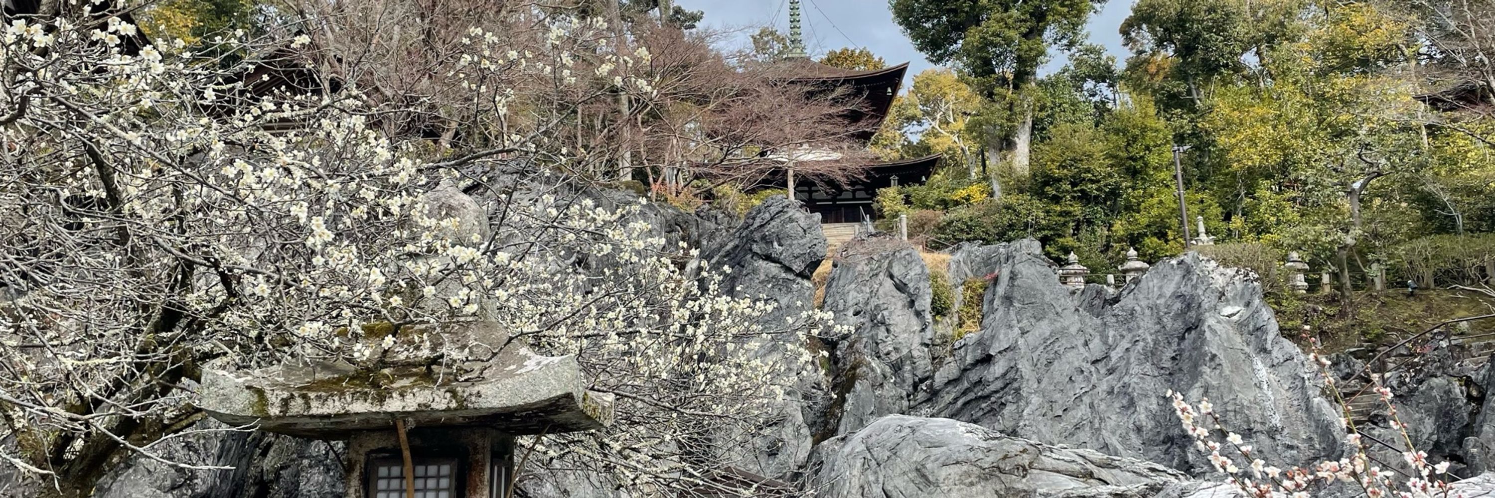 すあま🌽