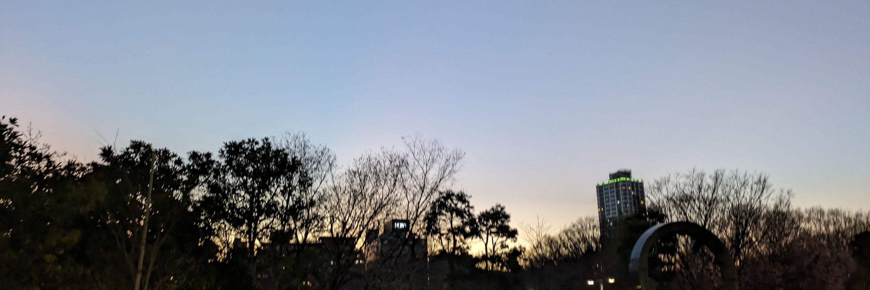 とこちズ