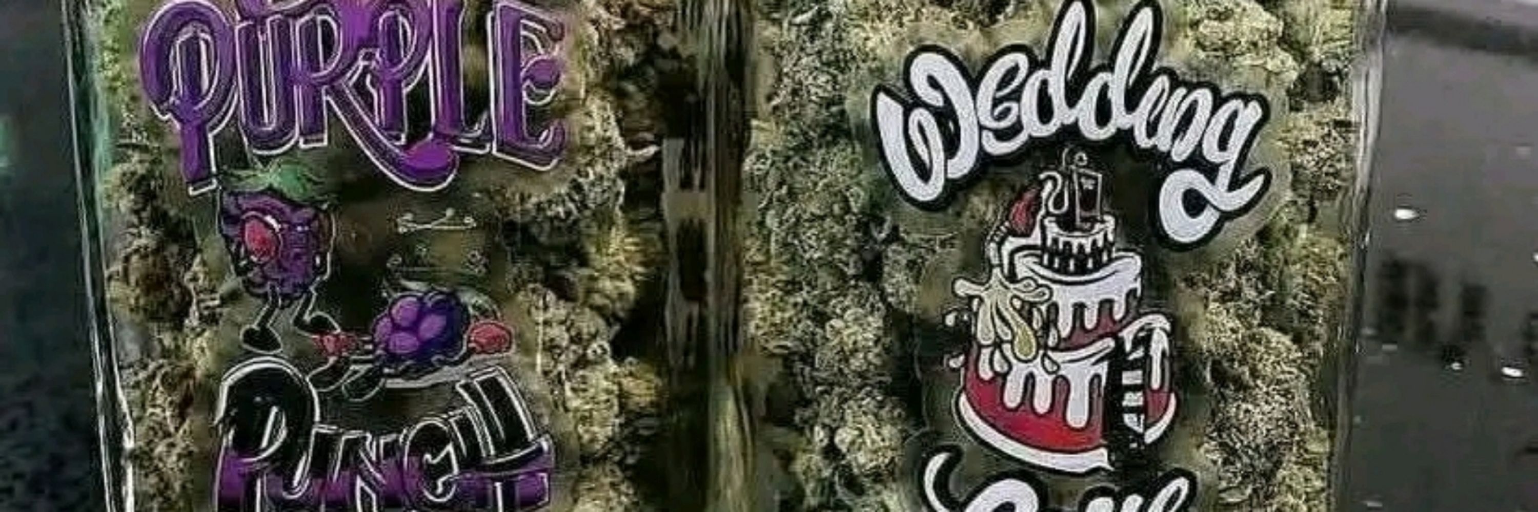 DEMCRUZ 420