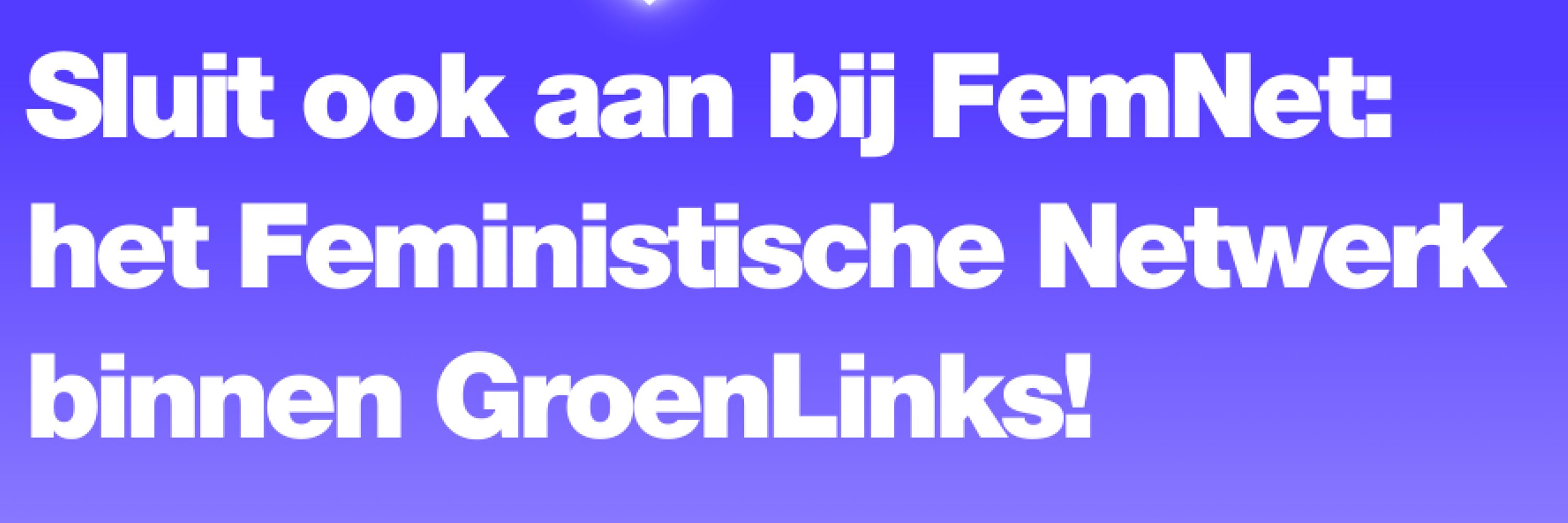 FemNet