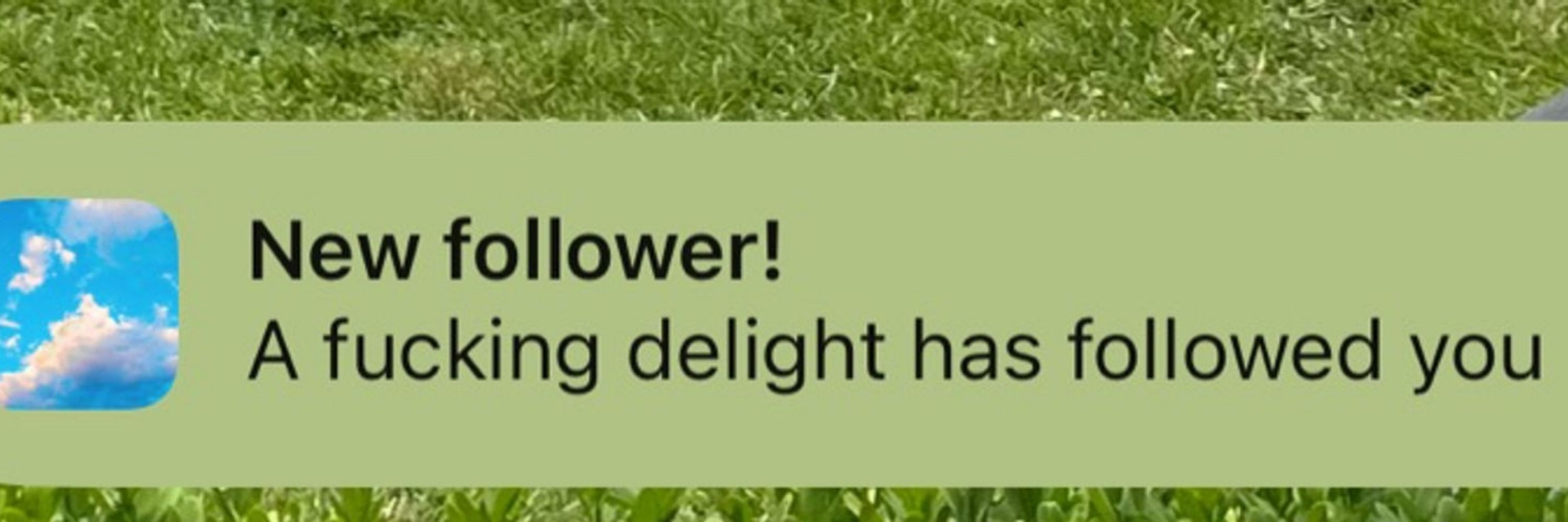 A fucking delight