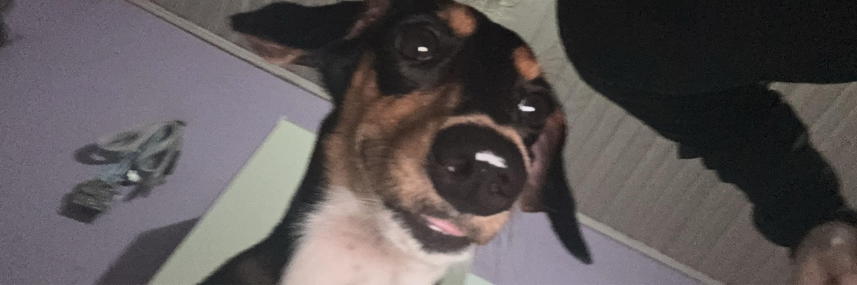 Lira
