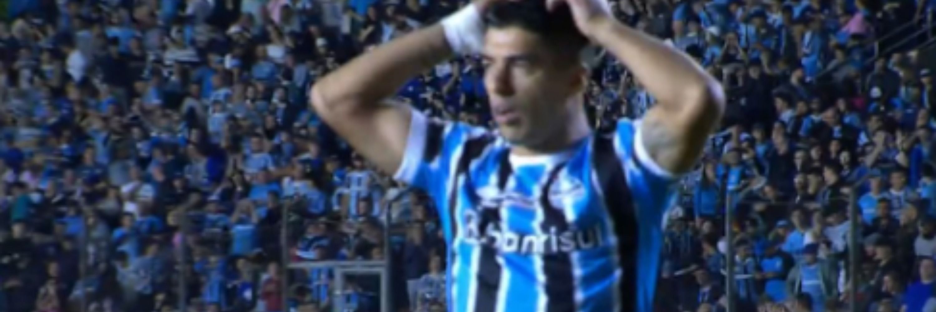 Mais um Imigrante da rede do Kiko dos Foguetes