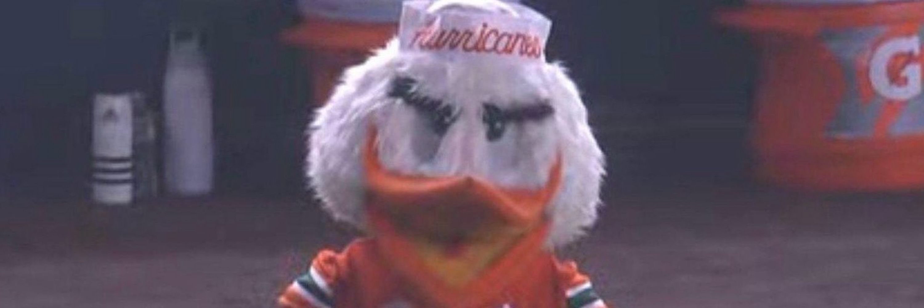 Joe #Canesoutsider