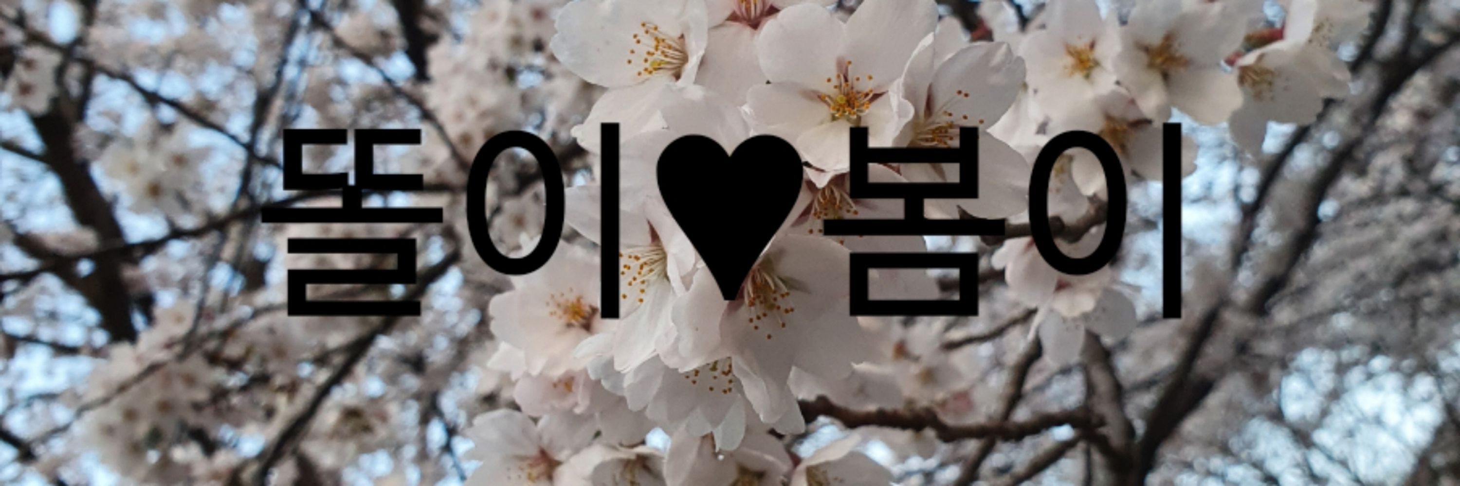 똘이♥︎봄이