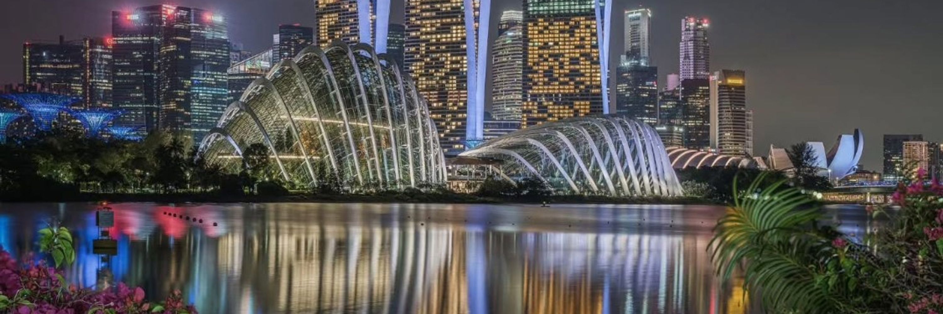 Vincent Goh