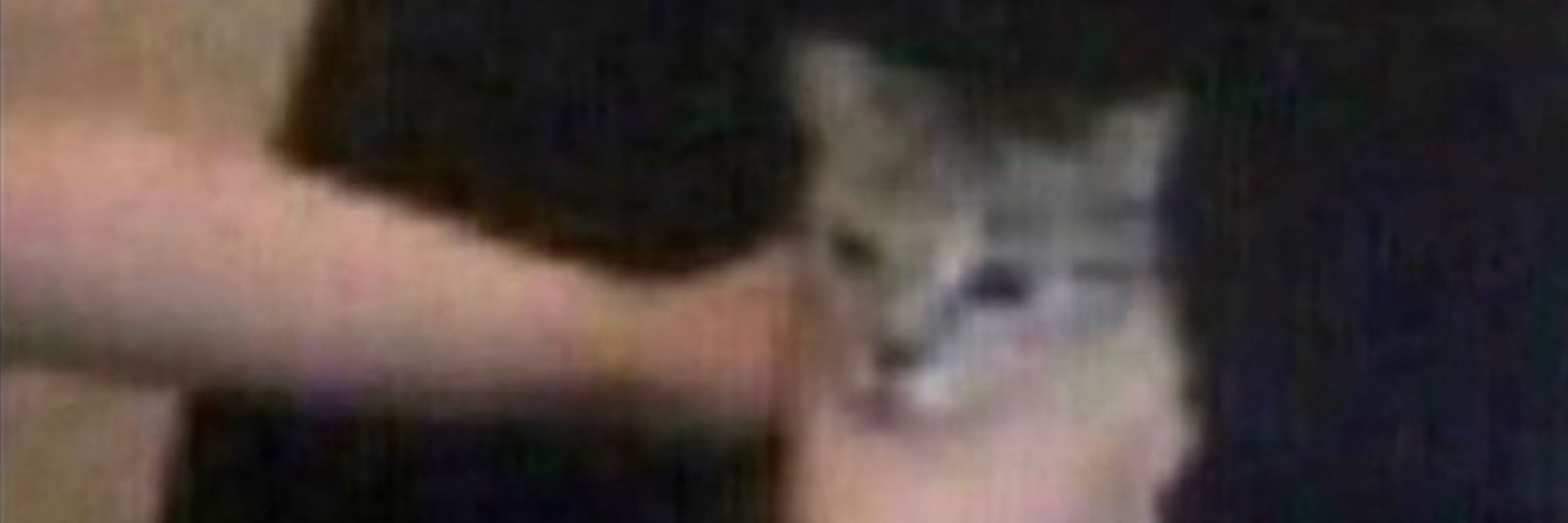 sier