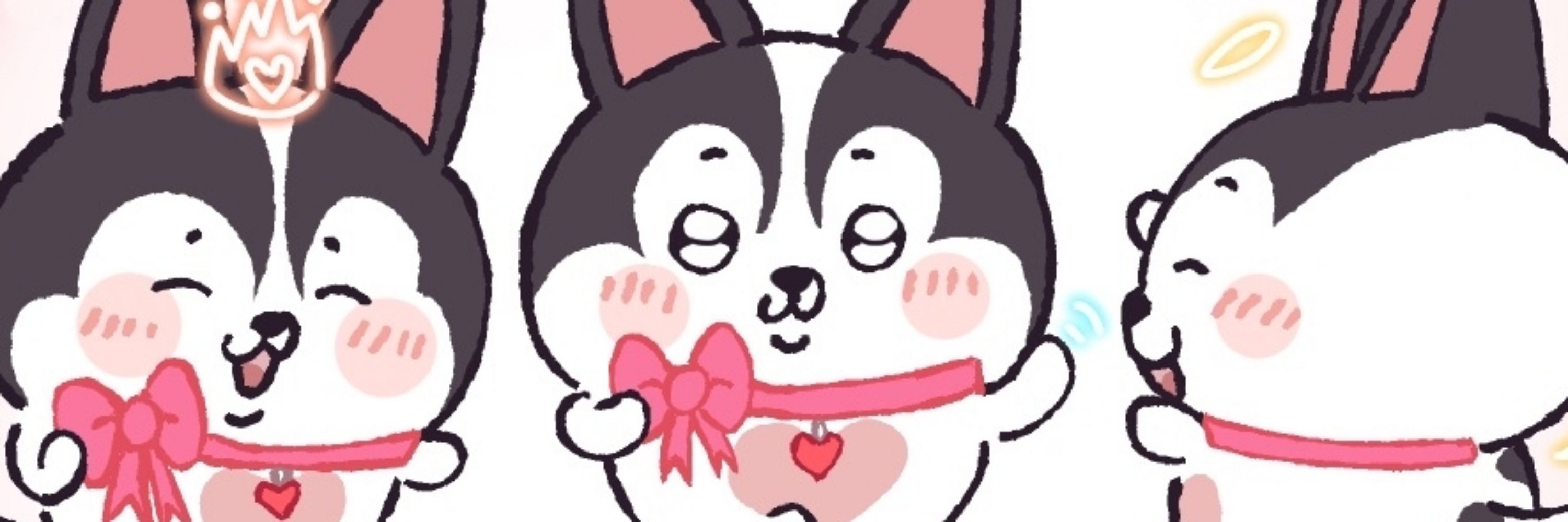 VI 🐶💕