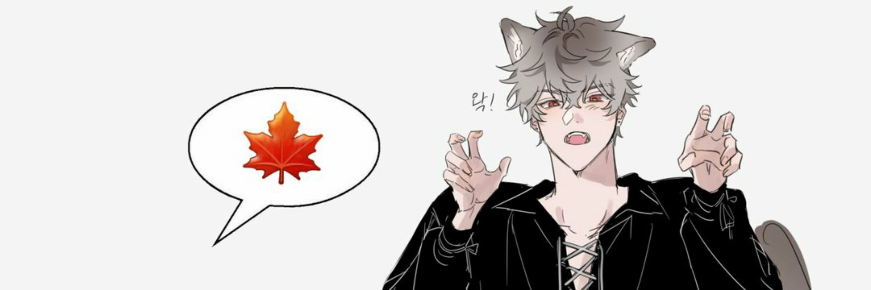 담요🍥