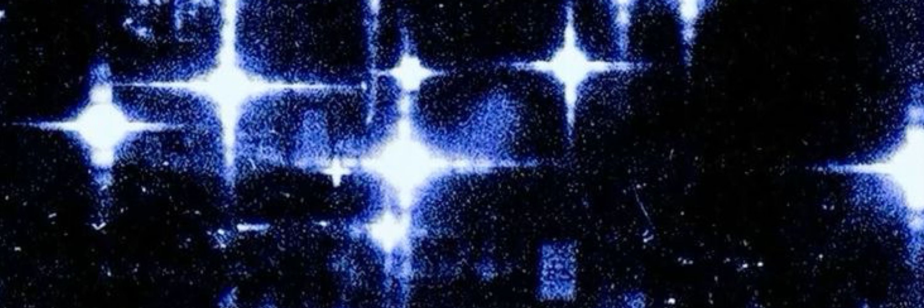 bioluminous surume !!1! 🪭✨