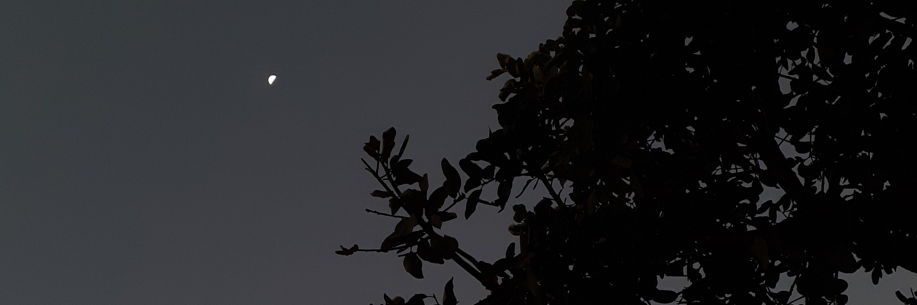 n.