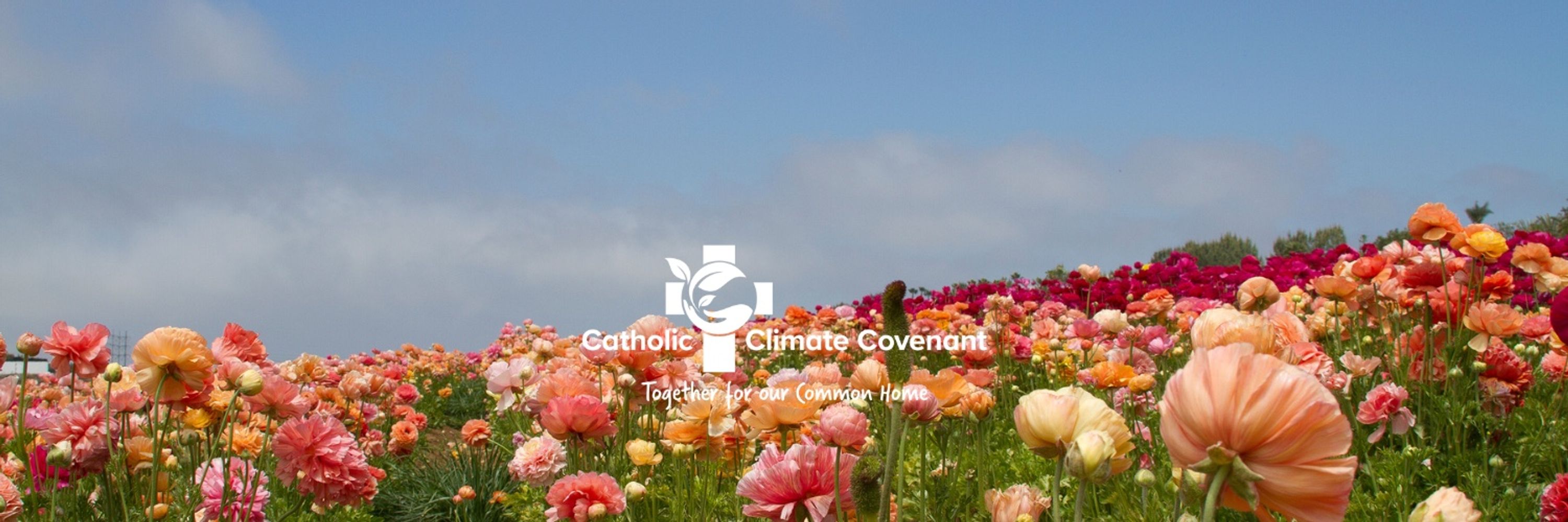 Catholic Climate Covenant