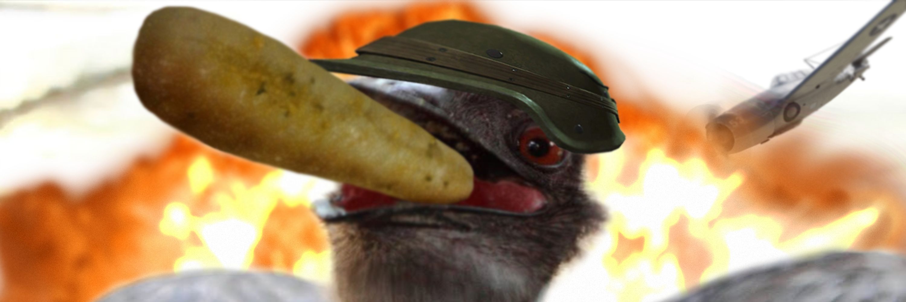 OtterHardt