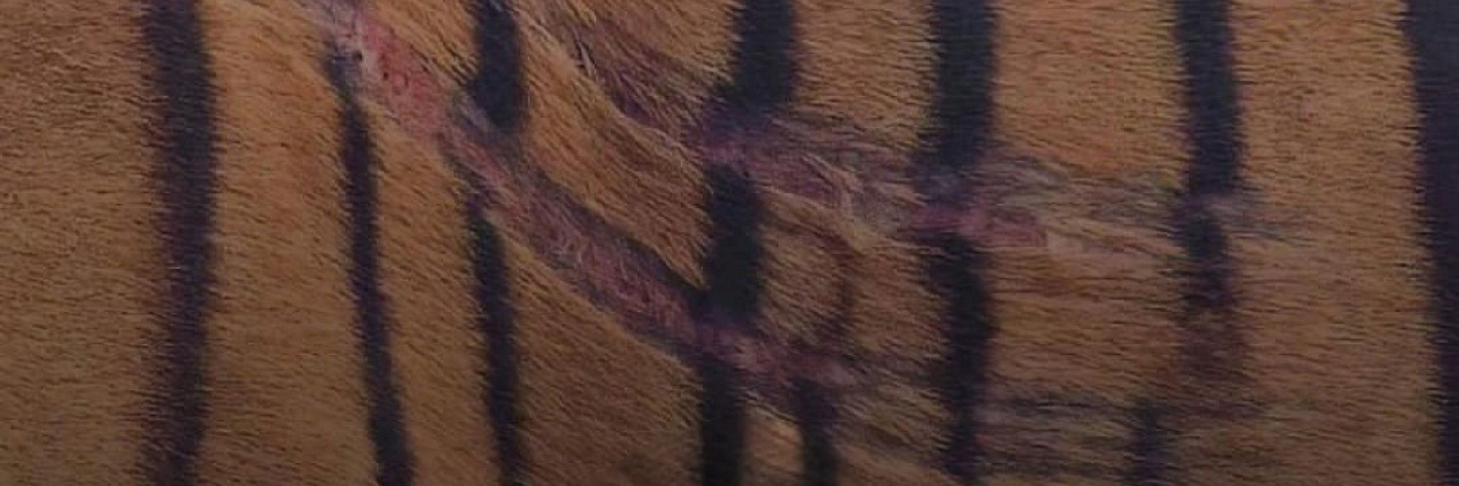 عرفانان