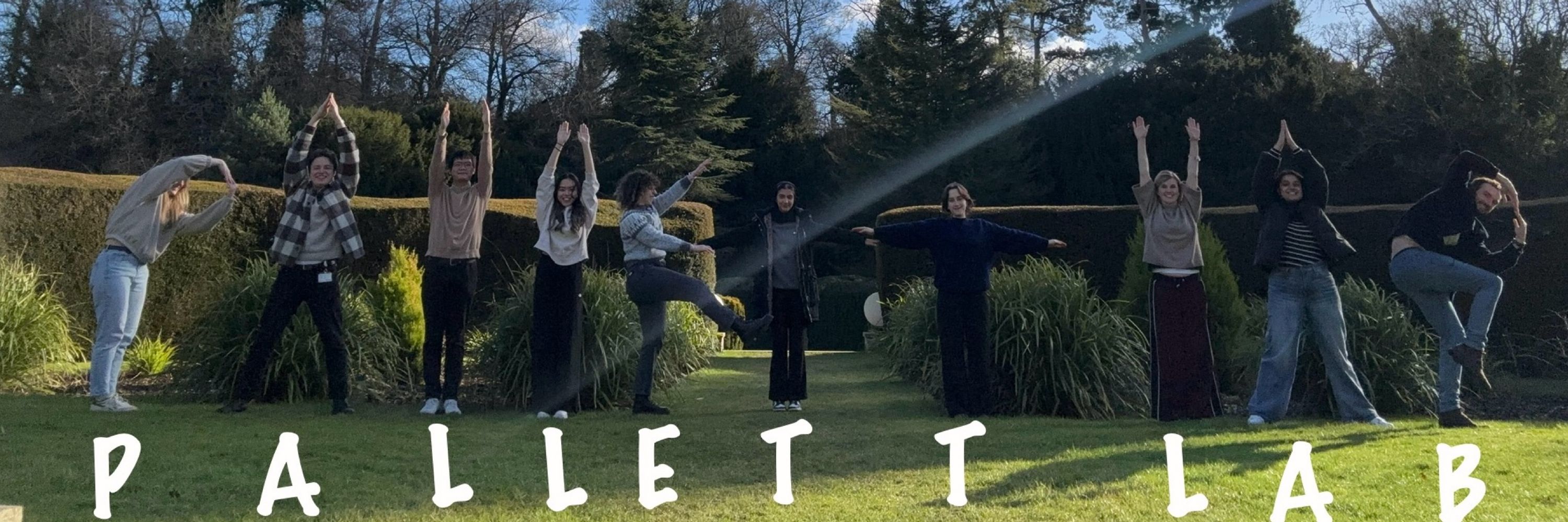Pallett Lab UCL