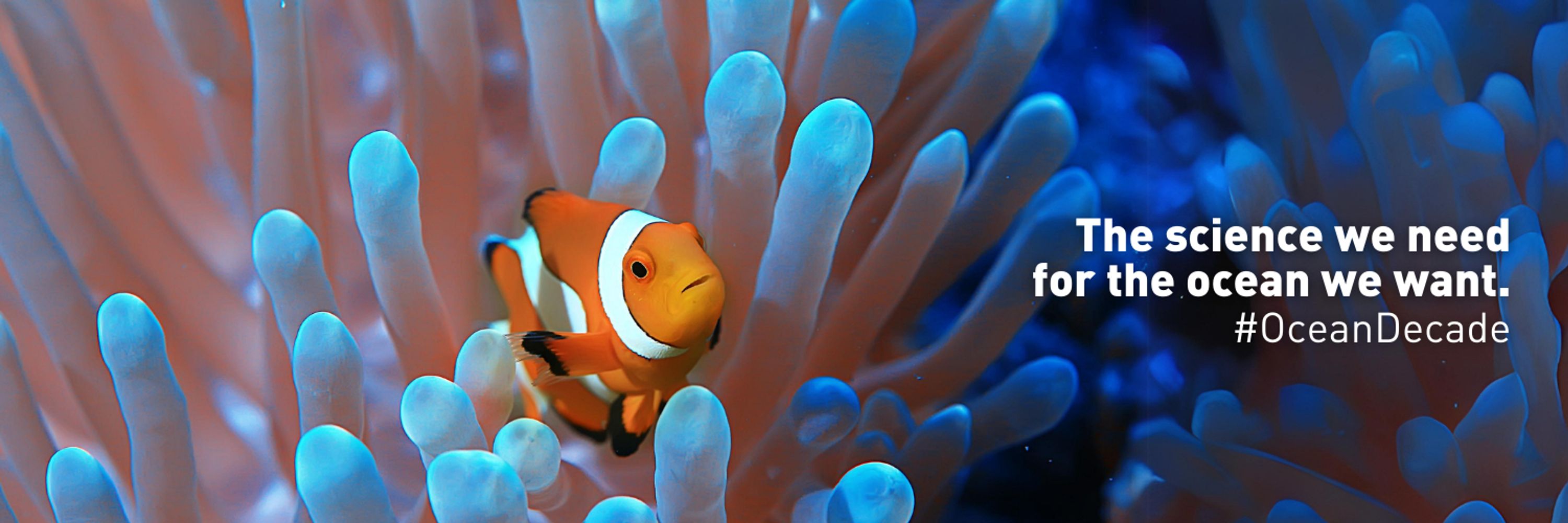 UN Ocean Decade