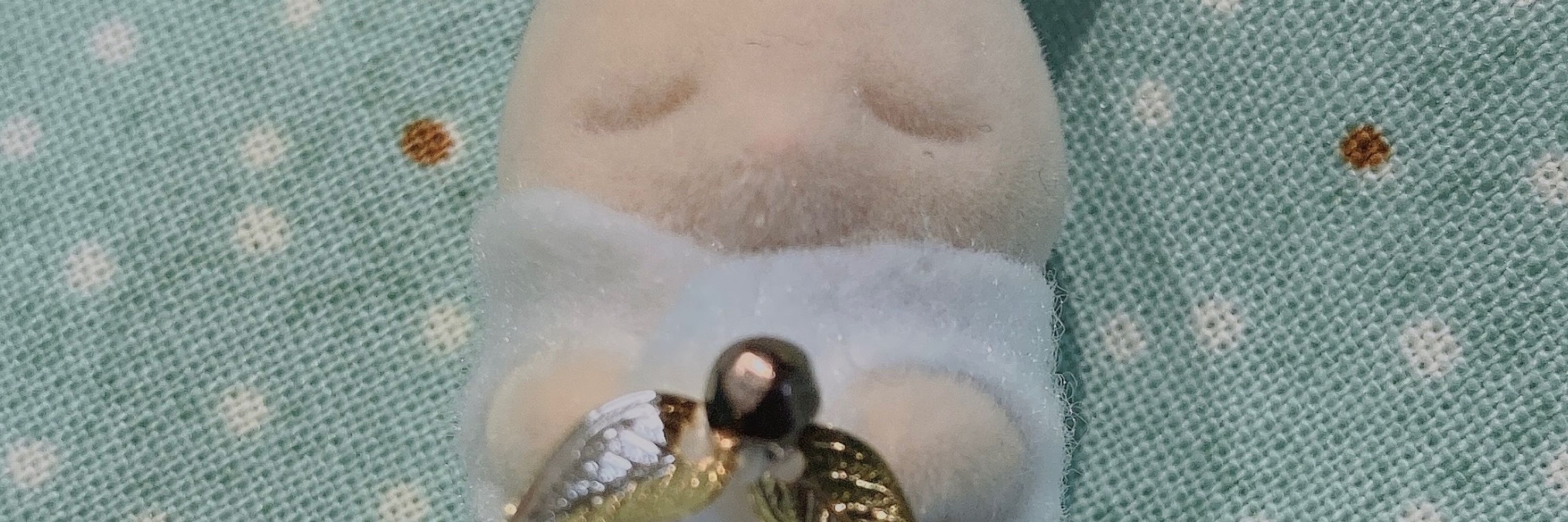 ジャスミン茶