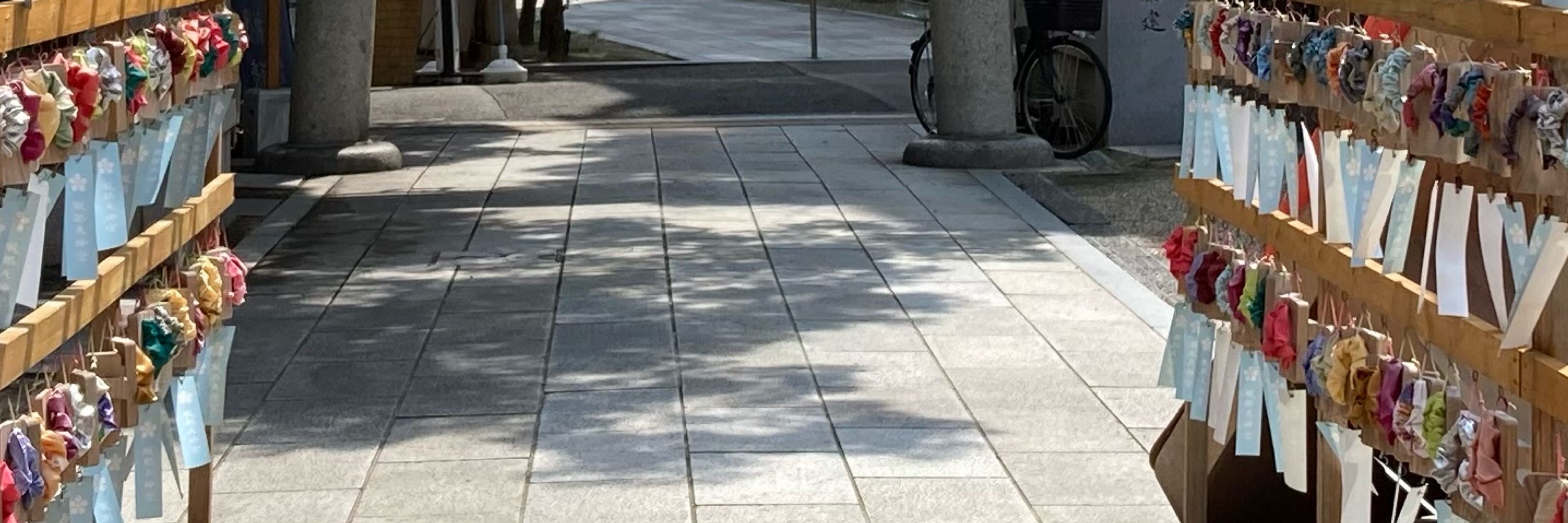 つゆたくさん