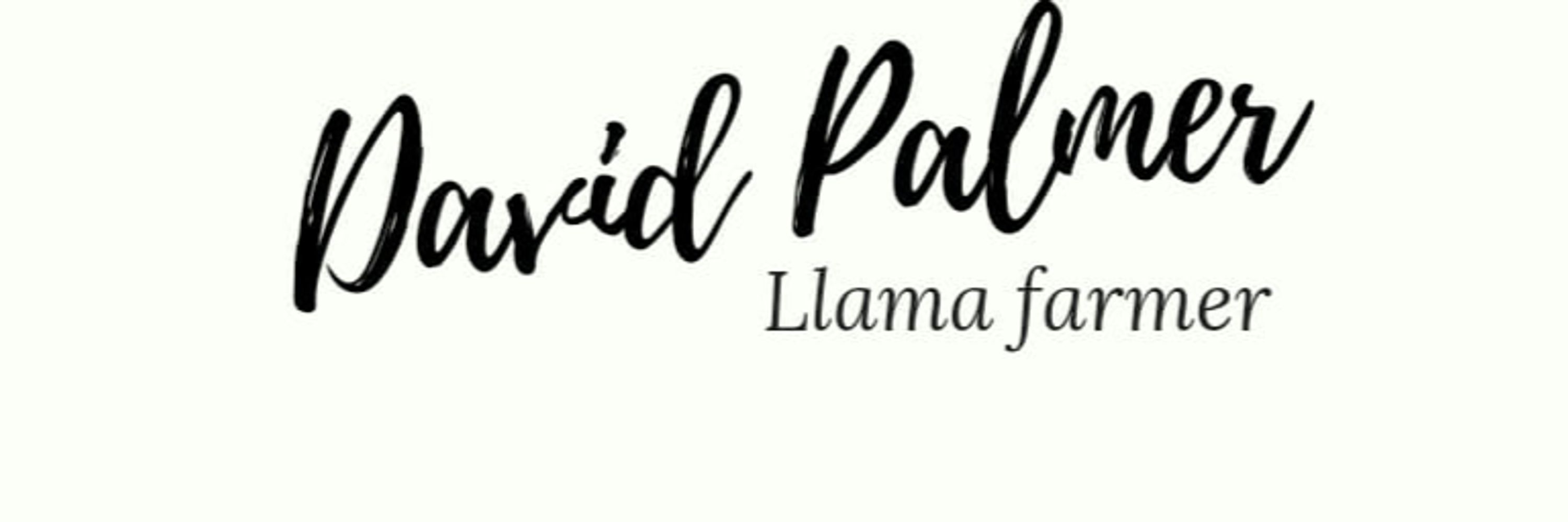 David Palmer