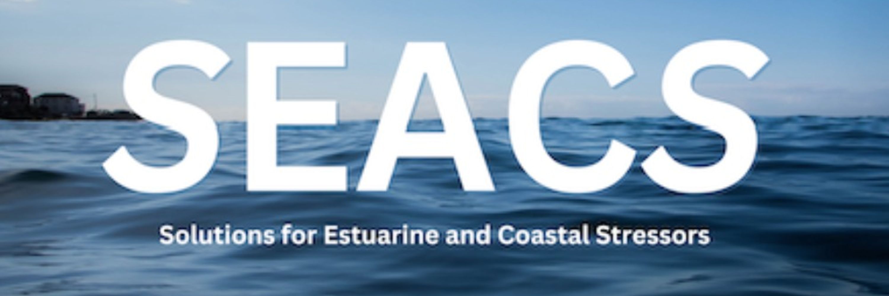 SEACS Lab