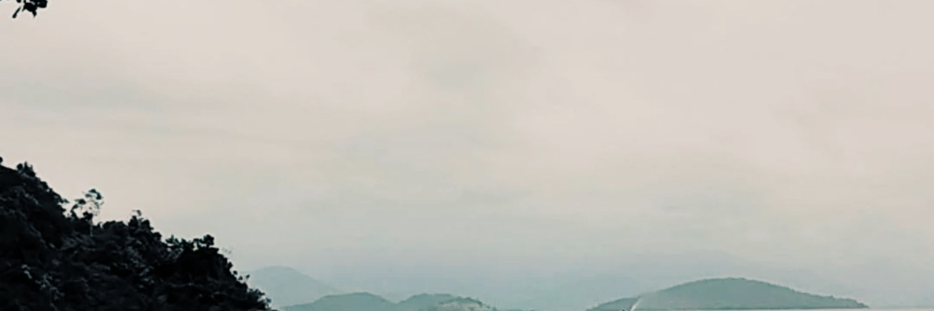Bea