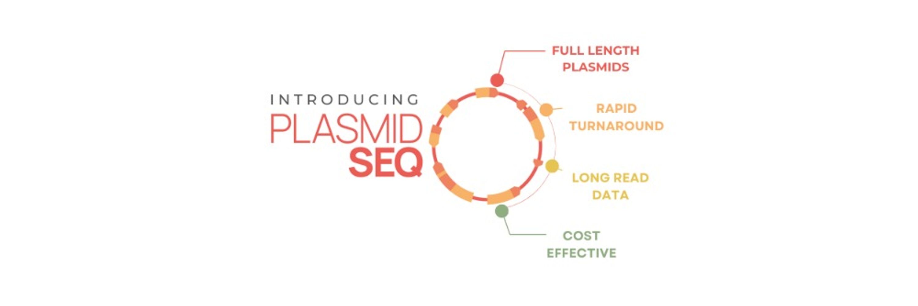 PlasmidsNG