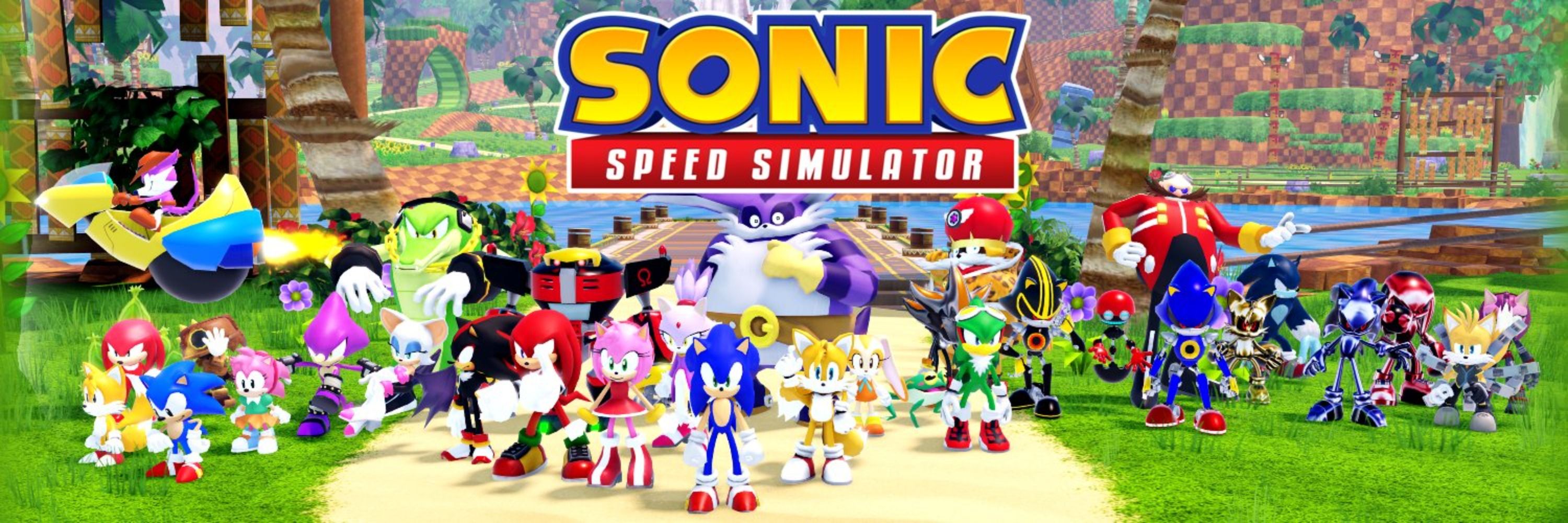 Sonic Speed Simulator
