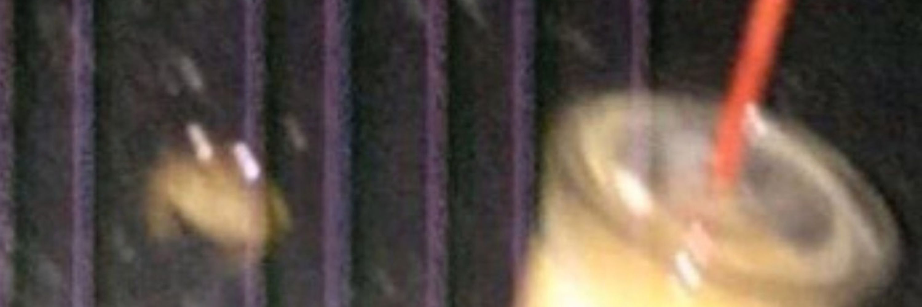Lynchie