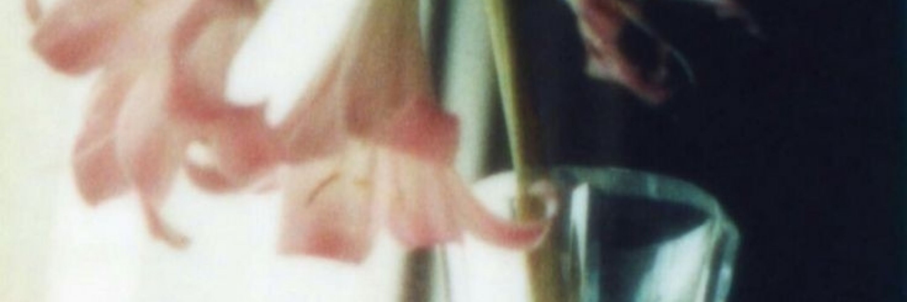 ֶָm