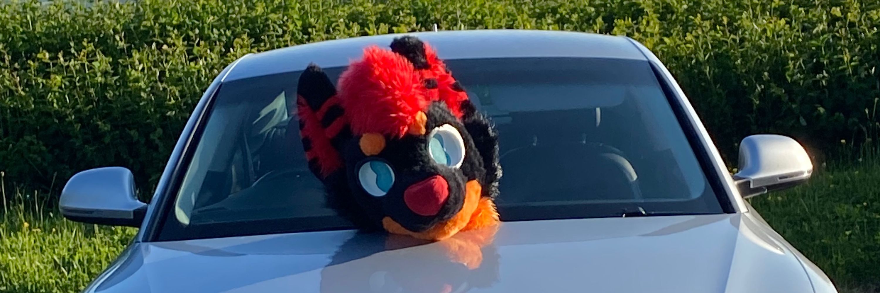 FivaFox