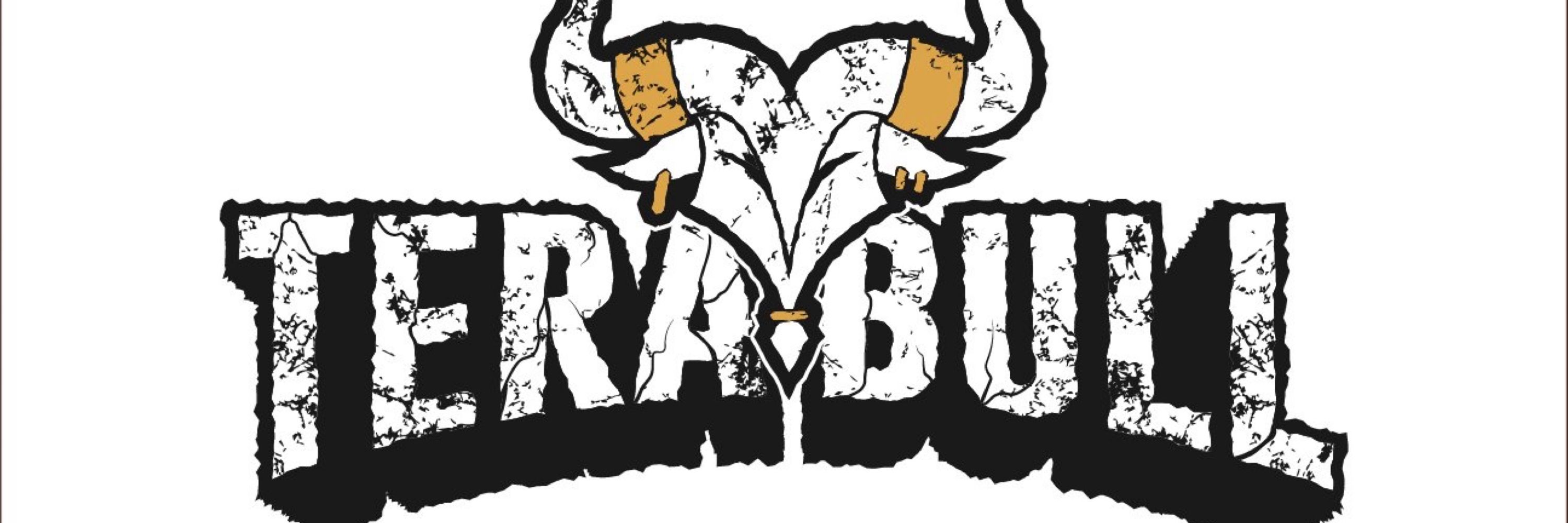 TeraBull 💪🐂 Vtuber