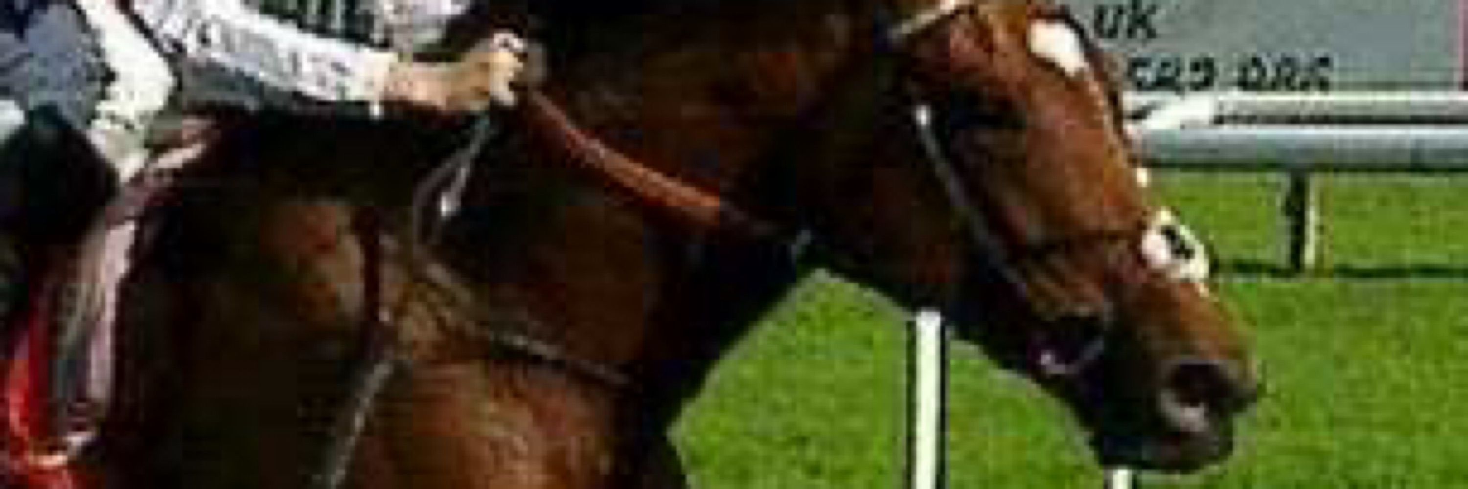 Twister Tipster Horse Racing