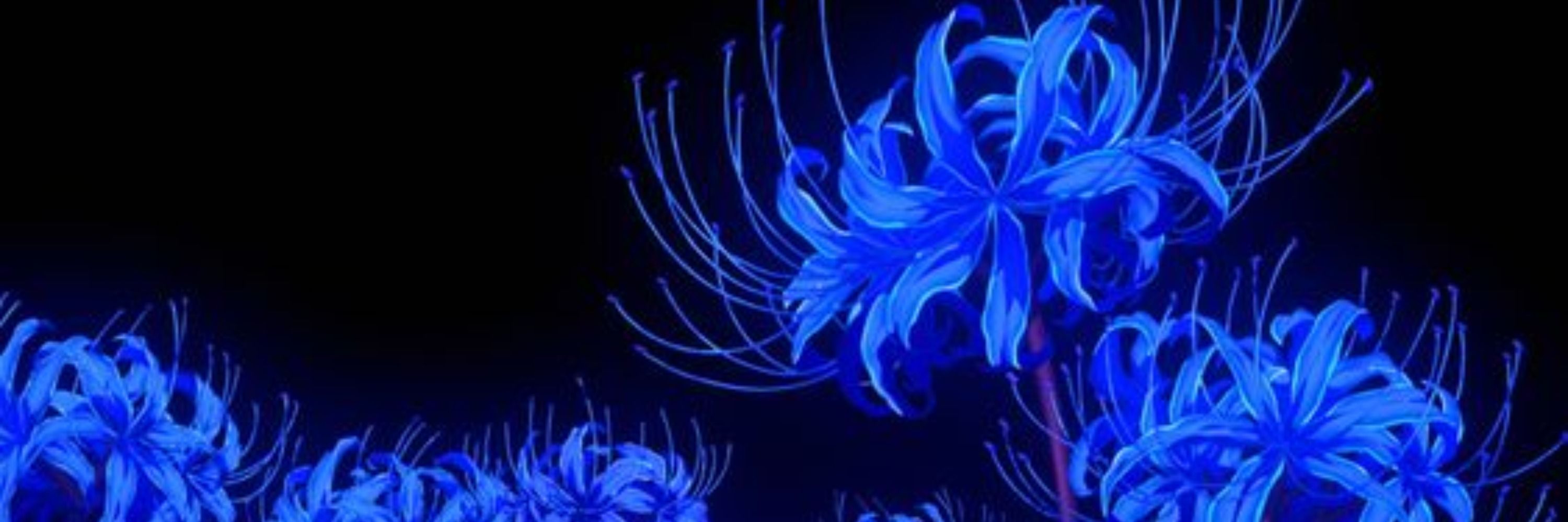 blueyx