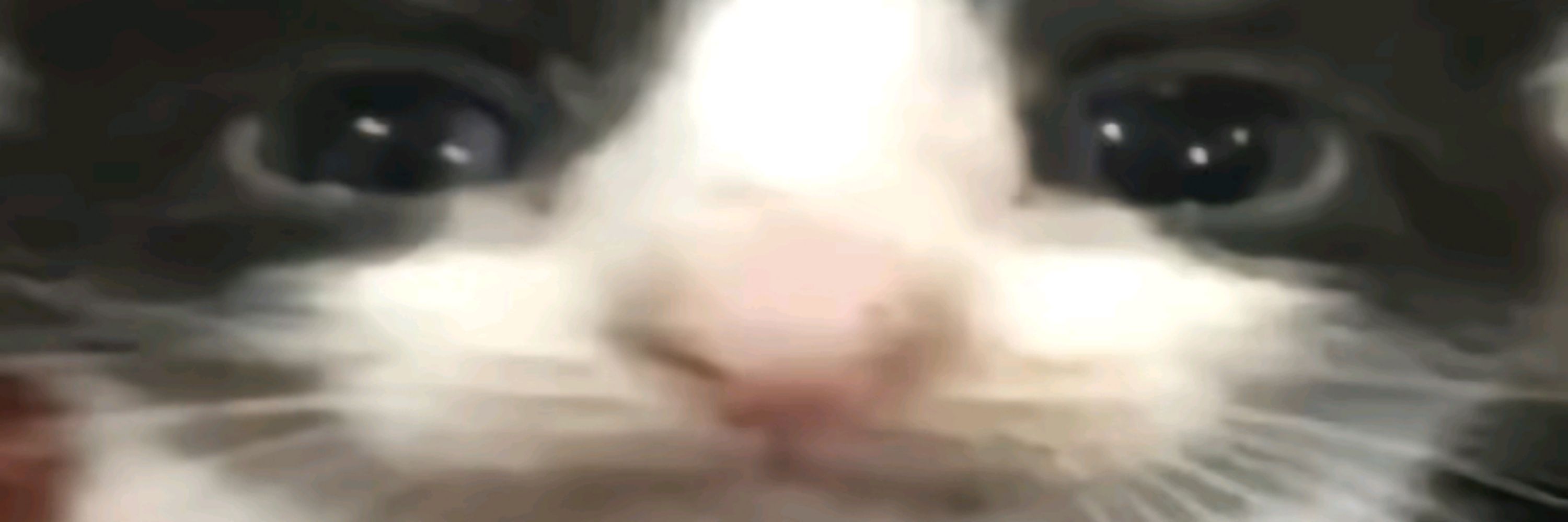 Qweiyel